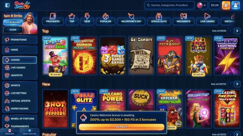DudeSpin Casino screenshot